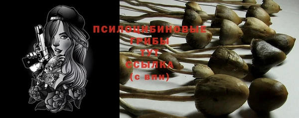 соль курить ск Каменногорск