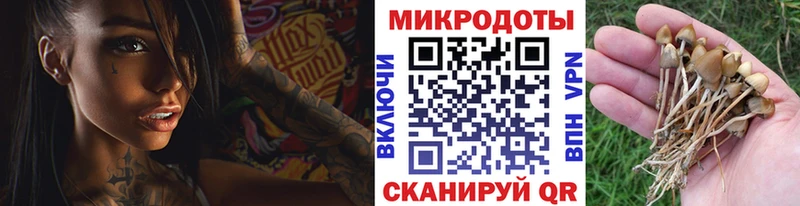 Галлюциногенные грибы MAGIC MUSHROOMS  Купить закладки  Нестеровская 